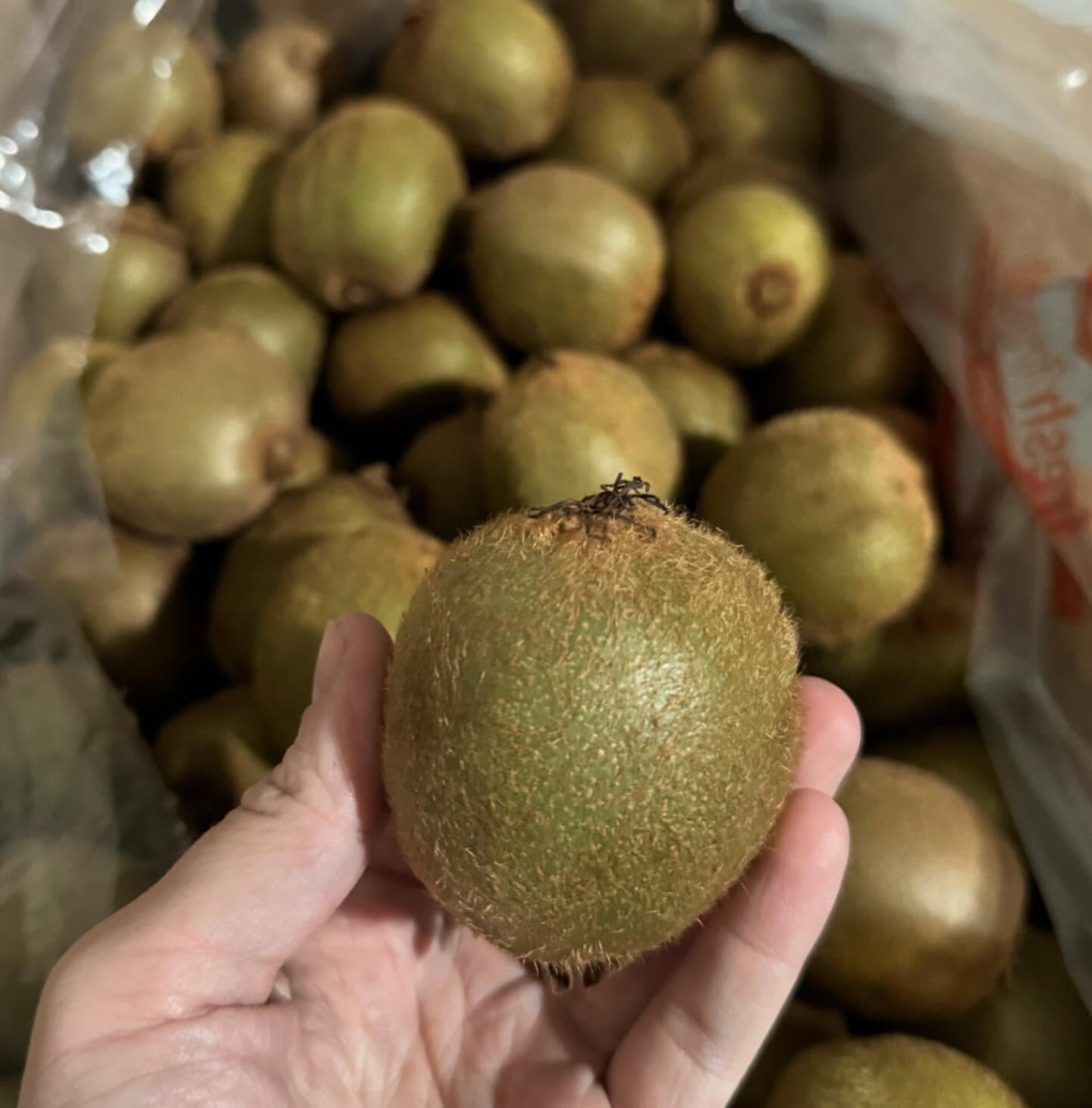 KIWI HAYWARD 1
