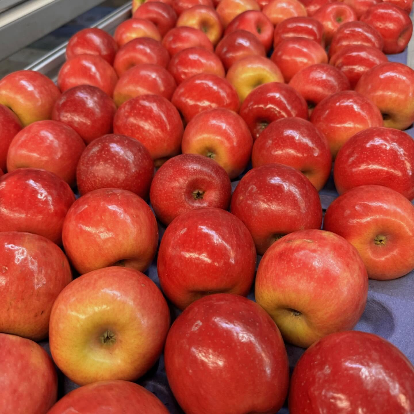 manzana crips