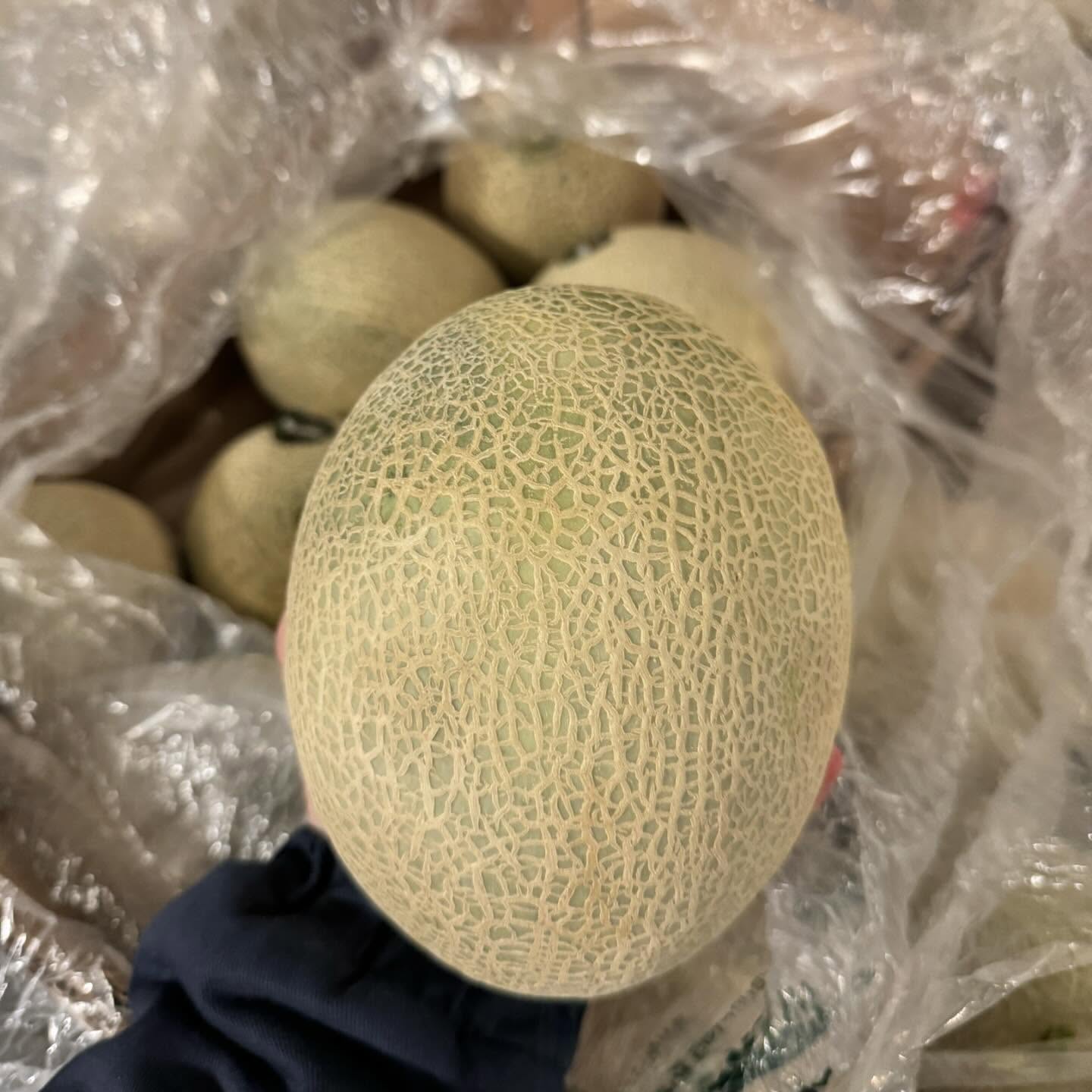 melon cantaulope
